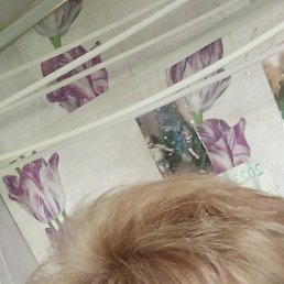 ������, ������������, 49 ���