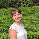 ���� �����, ���������� �����, 39 ��� - ��������� 26 ������� 2026 � ������ ���� ����������