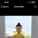 ���� �������, ������, 49 ��� - ��������� 18 ������� 2024 � ������ ���� ����������