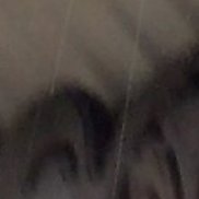 �����, 55 ���, ������