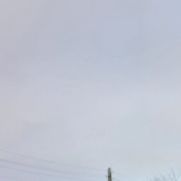 Aleksus1986, �����������, 39 ���