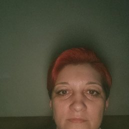 , 40, 