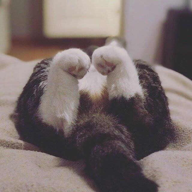....     , !!!