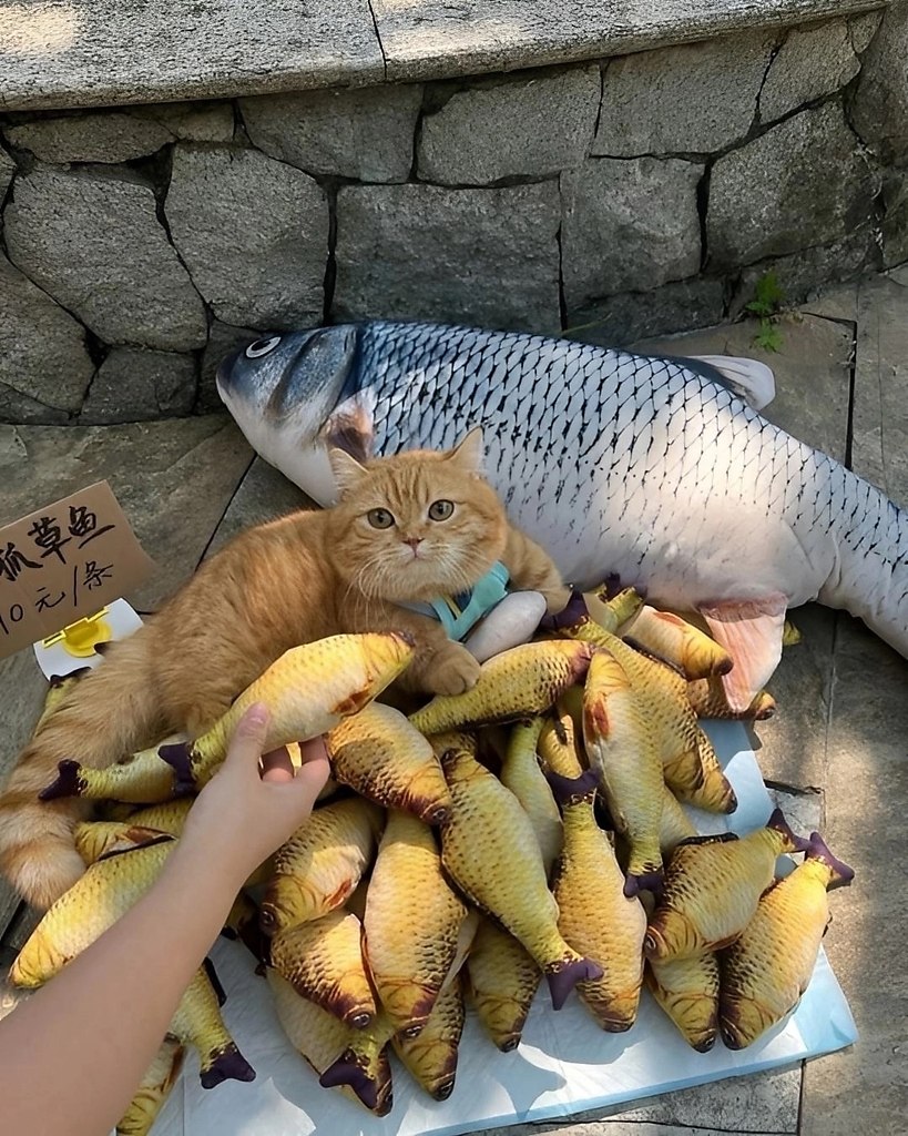 ��� � ���� ����� �����...
