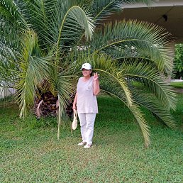 , 59, 