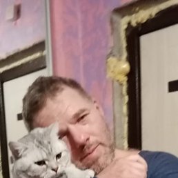 �����, 42 ����, �����������