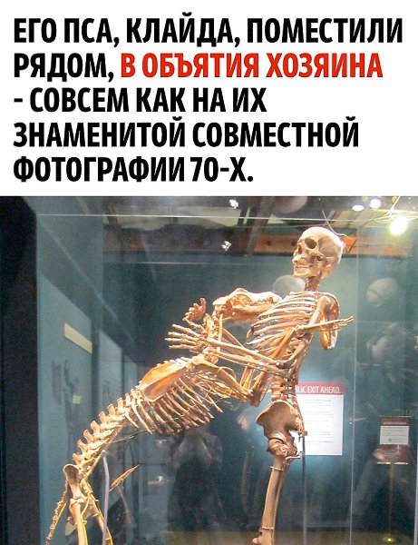 �� ��� ������� ����� �������� - 3