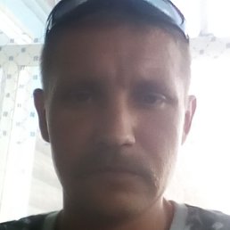 ������, ������-��������, 40 ���