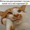 ���� ����������, ������������ - ��������� 24 ��� 2025 � ������ ���� ����������