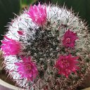 ���� �����, ������������, 23 ���� - ��������� 5 ����� 2025 � ������ ���� ����������