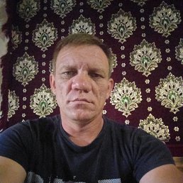 ���� �������, ������, 46 ��� - ��������� 1 ��� 2024