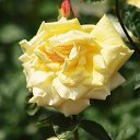 ���� Aleksandr, �����������, 64 ���� - ��������� 3 ���� 2025 � ������ ������ ��������