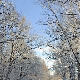 ���� �����, �������, 44 ���� - ��������� 27 ������� 2026