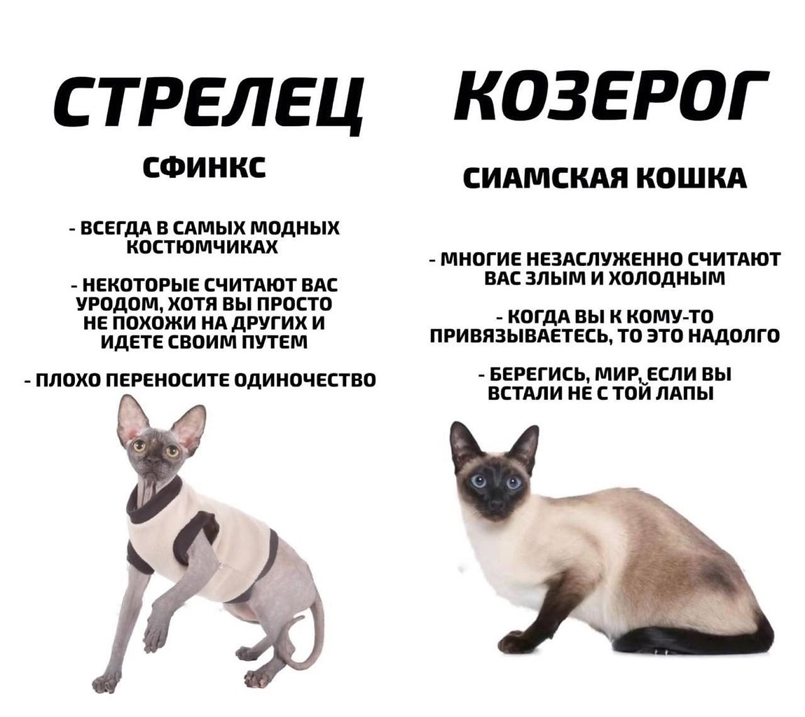       - 9