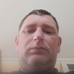 ������� �������, ������, 41 ���