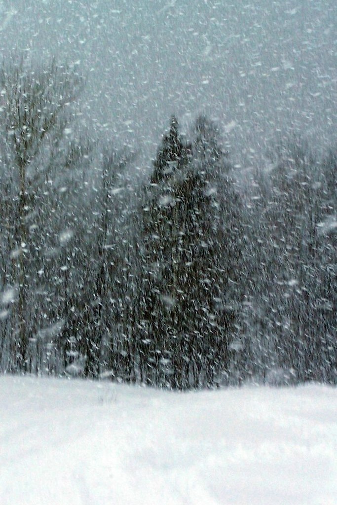 ��� ��������� ���� � ������ � ��������� �� ������� ����: 1. The snowstorm was so intense that ... - 2