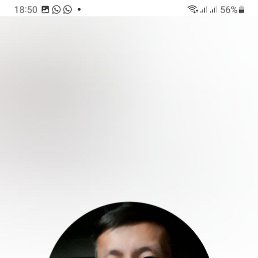 , 33, 