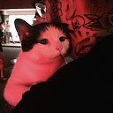���� ����, ���������, 23 ���� - ��������� 29 ������ 2023 � ������ ���� ����������
