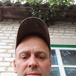 , 46, 
