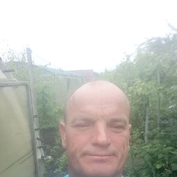 , 56 , 