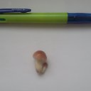 ���� �������, ������������, 51 ��� - ��������� 9 ������� 2024 � ������ ������������