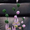 ���� Alena, �������, 56 ��� - ��������� 3 ����� 2025 � ������ ���� ��������� ����