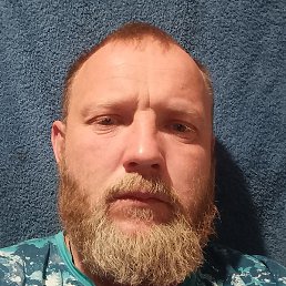 �����, ������, 40 ���