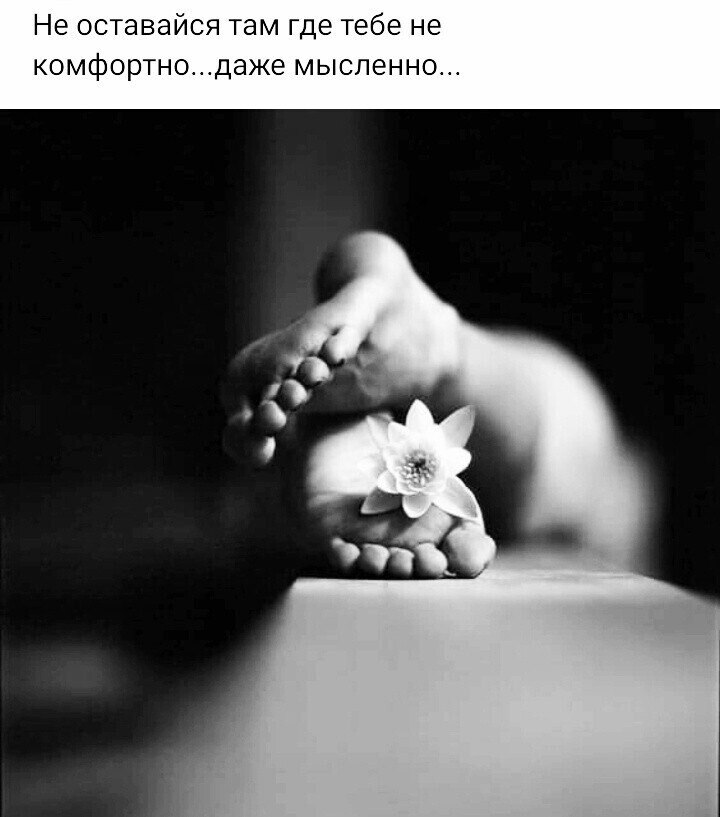 ***Victoria Viktorovna*** - 14  2025  06:10