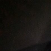 ����, 46 ���, ������