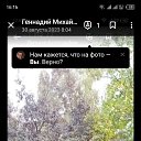 ���� ��������, �������, 46 ��� - ��������� 10 ������ 2024 � ������ ���� ����������