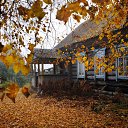 ���� ����, ������, 71 ��� - ��������� 5 ������� 2024 � ������ ���� ����������