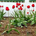 ���� ���������, ���������� - ��������� 14 ��� 2025 � ������ ���� ������