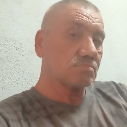 ���� ��������, �������, 62 ���� - ��������� 21 ���� 2024