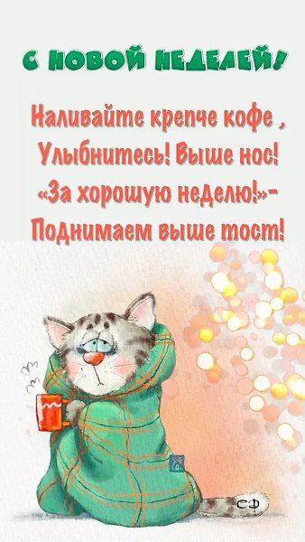 ������� - 14 ������� 2026 � 10:41 - 9