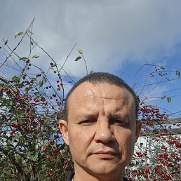 , 47, 