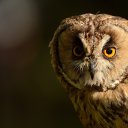 ���� �����, �����-���������, 39 ��� - ��������� 18 ������� 2025 � ������ ���� ����������