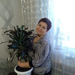 ���� �����, ��������, 64 ���� - ��������� 19 ������� 2026