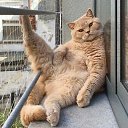 ���� Vita, ������ - ��������� 25 ���� 2026