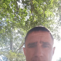 , 44 , 