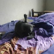 ��������, 34 ����, ������