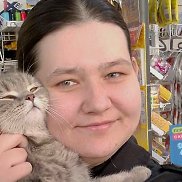 �����, 33 ����, �������