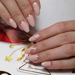 ���������, �������������, 44 ����