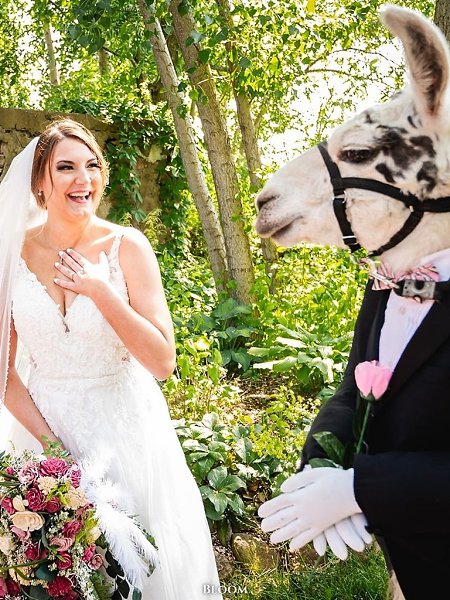  a.  o ap  po aepa a  oa aa  co aa aa, o c  aa ... - 3