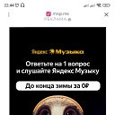  , , 37  -  25  2024    