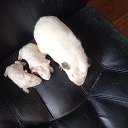 ���� ��� ���� ��, ������, 49 ��� - ��������� 2 ������� 2026 � ������ ������ ��������