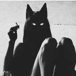 ���� ����, ������, 44 ���� - ��������� 7 ������� 2026