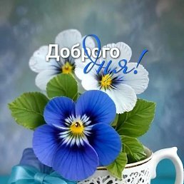 �������, ����