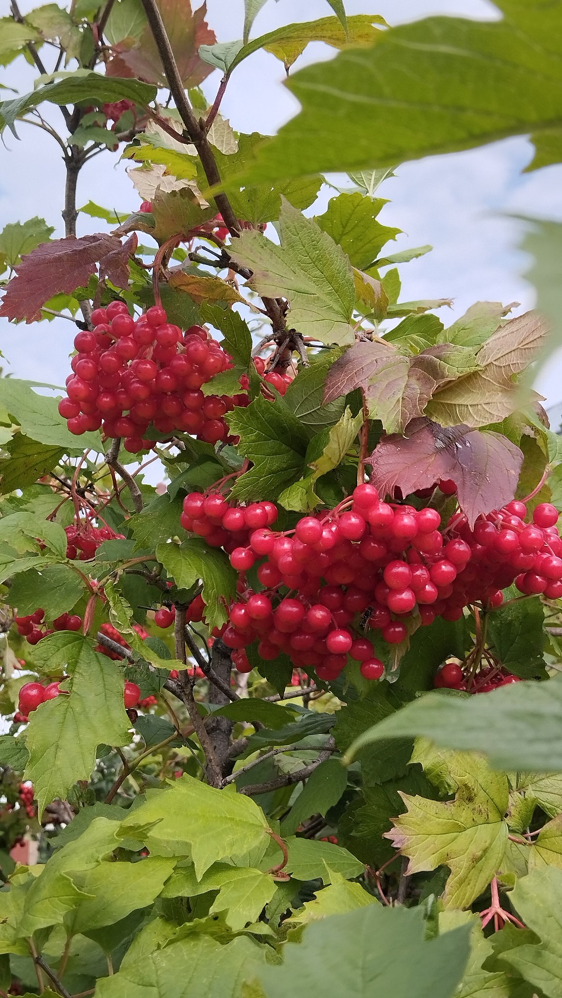  - 18  2025  20:39 - 3