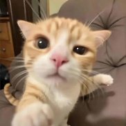 ����, 24 ����, ����