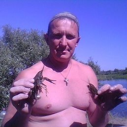 �������, 35 ���, ������